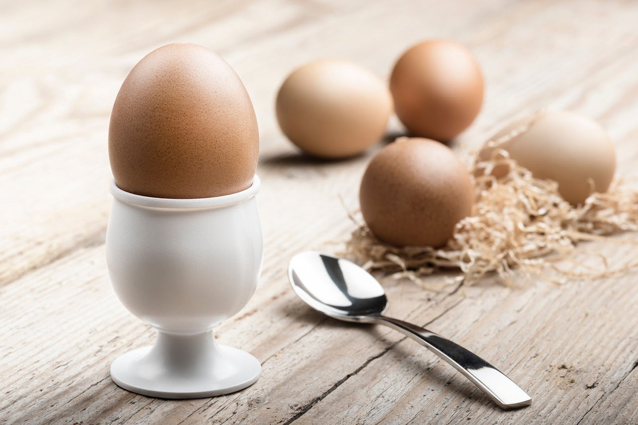 How Much Protein Do You Really Need After a Workout?